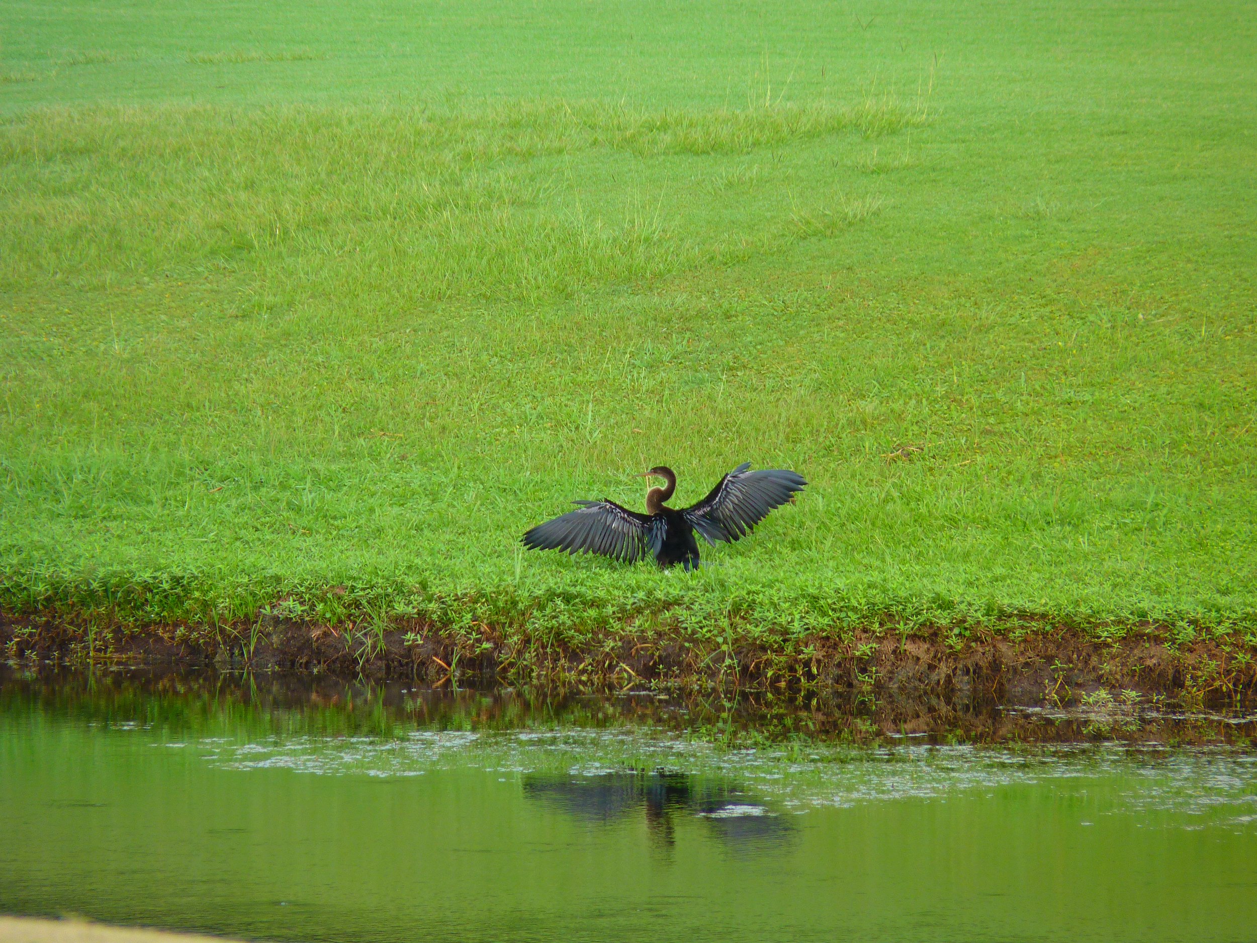 Hilton Head Island