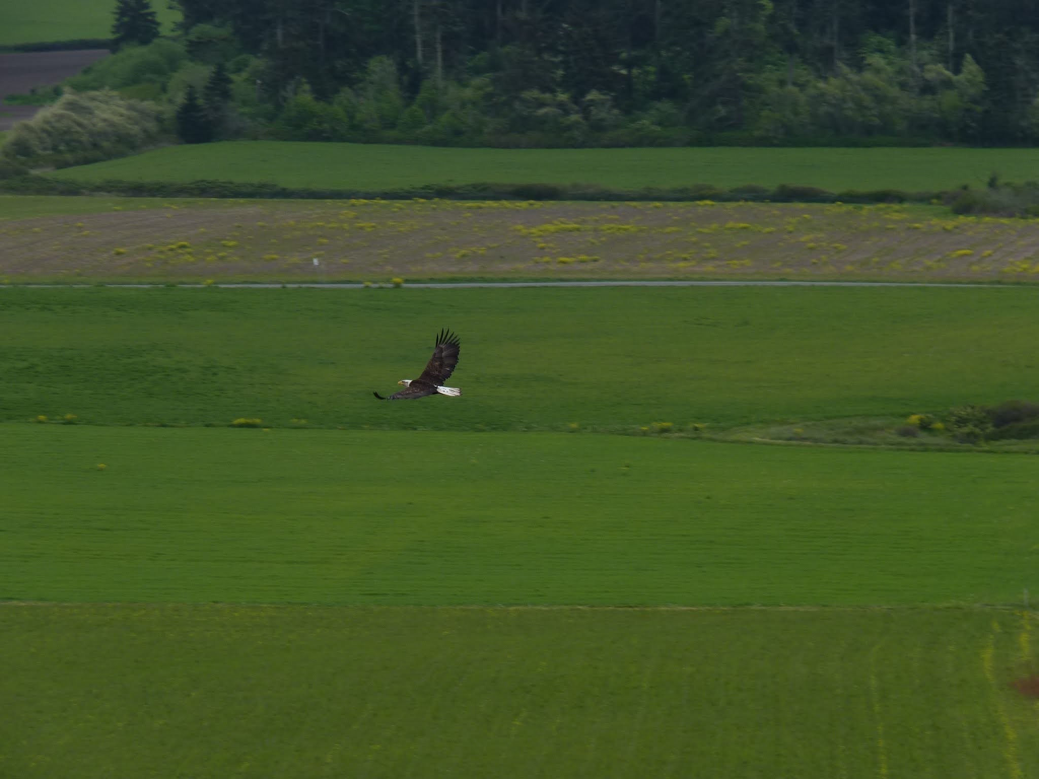 Ebey's Landing